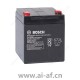 博世 Bosch D1250 电池12V 5Ah 4.998.800.376