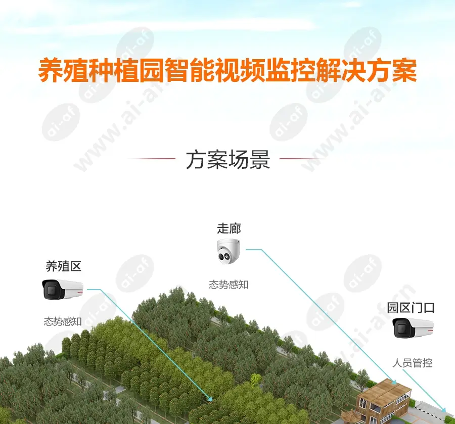 breeding_plantation_f_cn-0.webp