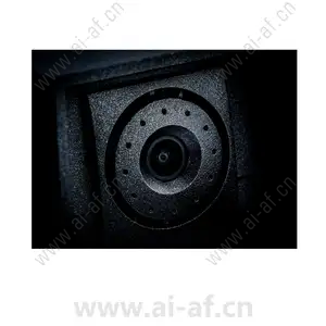 AXIS 2N IP FORCE HD camera 1 button with pictograms