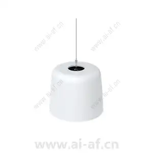 AXIS C1511 Network Pendant Speaker 02390-001