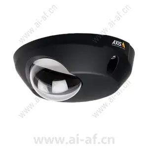 AXIS Black Casing with Clear Dome 19308