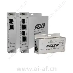 派尔高 Pelco FMCI-PG2 二通道 IP 媒体转换器标准尺寸 None