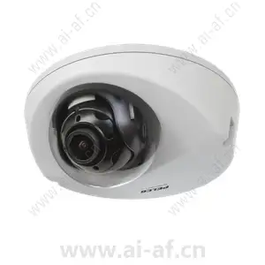 派尔高 Pelco IWP121-1ES 1 MP Sarix Pro 室外楔形 IP 半球摄像机 None